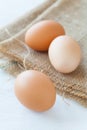 brown chicken egg Royalty Free Stock Photo
