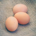Brown chicken egg Royalty Free Stock Photo