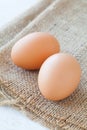 Brown chicken egg Royalty Free Stock Photo