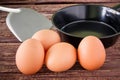 Brown chicken egg and iron pan on the table. Royalty Free Stock Photo