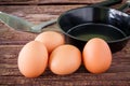 Brown chicken egg and iron pan on the table. Royalty Free Stock Photo