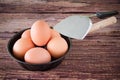 Brown chicken egg and iron pan on the table. Royalty Free Stock Photo