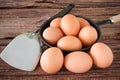 Brown chicken egg and iron pan on the table. Royalty Free Stock Photo
