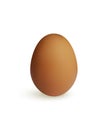 Brown chicken egg isolated on white background. Vector illustration. Royalty Free Stock Photo