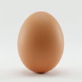 Brown chicken egg standing upright on a plain white background. The egg is smooth Royalty Free Stock Photo