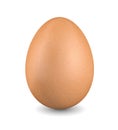 Brown chicken egg