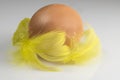 Brown Chicken Egg with Yellow Plume Royalty Free Stock Photo