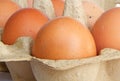 Brown chicken eggs in a carboard box Royalty Free Stock Photo
