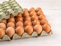 Brown chicken eggs in the cardboard tray Royalty Free Stock Photo