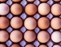 Brown chicken eggs in a carton box top view Royalty Free Stock Photo