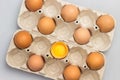 Brown chicken eggs in carton container. One broken egg in container Royalty Free Stock Photo