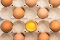 Brown chicken eggs in carton container. One broken egg in container Royalty Free Stock Photo