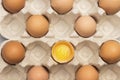 Brown chicken eggs in carton container. One broken egg in container Royalty Free Stock Photo