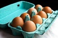 Brown Chicken Eggs in a Colourful Teal Egg Carton Royalty Free Stock Photo