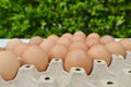 Brown chicken eggs in egg carton. Fresh chicken eggs background. Side view.