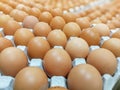 Brown chicken eggs in the egg tray,fresh raw chicken eggs in package for sale in supermarket Royalty Free Stock Photo