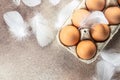 brown chicken eggs with feathers. in an open egg carton on light background. top view Royalty Free Stock Photo