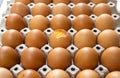 Brown chicken eggs in gray carton package box, one egg in middle is broken Royalty Free Stock Photo