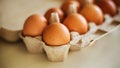 Brown chicken eggs lie in a cardboard store box, are on a white table and illuminated by sunlight Royalty Free Stock Photo