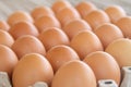 Brown chicken eggs are lined up in a tray. Many brown eggs are together in the tray Royalty Free Stock Photo