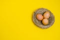 Brown chicken eggs in the nest on yellow background. Easter concept with copy space. Minimalism concept. Royalty Free Stock Photo