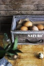 Brown chicken eggs in old wooden box, home farm Royalty Free Stock Photo