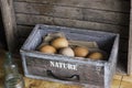 Brown chicken eggs in old wooden box, home farm Royalty Free Stock Photo