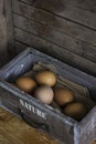 Brown chicken eggs in an old wooden box, home farm Royalty Free Stock Photo
