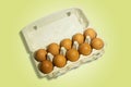 10 brown chicken eggs in paper egg box isolated on white to yellow gradient background. side view. Healthy food concept Royalty Free Stock Photo