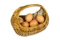 Brown Chicken Eggs and Pen in a Wicker Basket Isolated on White Royalty Free Stock Photo