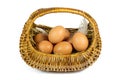 Brown Chicken Eggs and Pen in a Wicker Basket Isolated on White Royalty Free Stock Photo