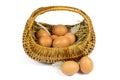 Brown Chicken Eggs and Pen in a Wicker Basket Isolated on White Royalty Free Stock Photo