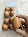 Brown chicken eggs in a plastic package Royalty Free Stock Photo