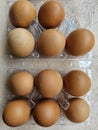 Brown chicken eggs in a plastic package on white background. Royalty Free Stock Photo