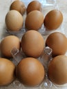 Brown chicken eggs in a plastic package on white background. Royalty Free Stock Photo