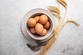 Brown chicken eggs in plate, feathers and wheat on light background. Concept farm products and natural nutrition. Top view. Royalty Free Stock Photo