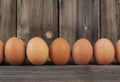 Brown Chicken Eggs Row