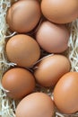 Brown chicken eggs in a straw Royalty Free Stock Photo