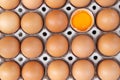 Brown chicken eggs in a tray There is a broken egg. Chicken eggs contain protein. The nutrients in the eggs provide many benefits Royalty Free Stock Photo