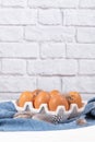 Brown chicken eggs in the white ceramic egg stand over the rustic background with copy space