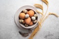 Brown chicken and quail eggs in plate, feathers and wheat on light background. Concept farm products and natural nutrition. Royalty Free Stock Photo