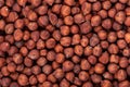 Brown chickpeas background. Red chickpea bean. Garbanzo, bengal gram or chick pea bean.