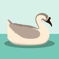 brown chinese goose vector illustration style flat