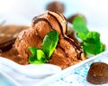 Brown chocolate ice cream