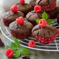 Brown chocolate muffins with raspberries