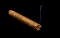 Brown cigar burned Royalty Free Stock Photo