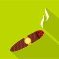 Brown cigar icon, flat style