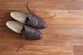 Brown classic women shoes with untied laces on a wooden floor. Royalty Free Stock Photo
