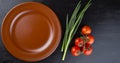 Brown clay dish and tomatoess on black background Royalty Free Stock Photo
