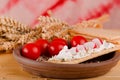 Brown clay plate with crispy bread and curd cheese Royalty Free Stock Photo